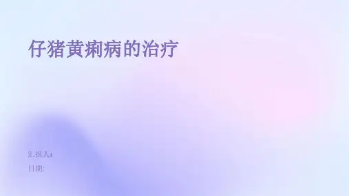 仔猪黄痢病的治疗