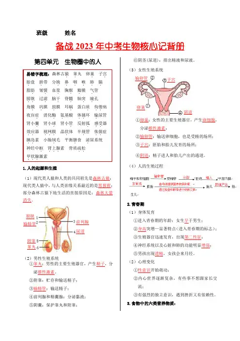 七年级生物下册-【核心记背册】备战中考生物核心考点精华必背