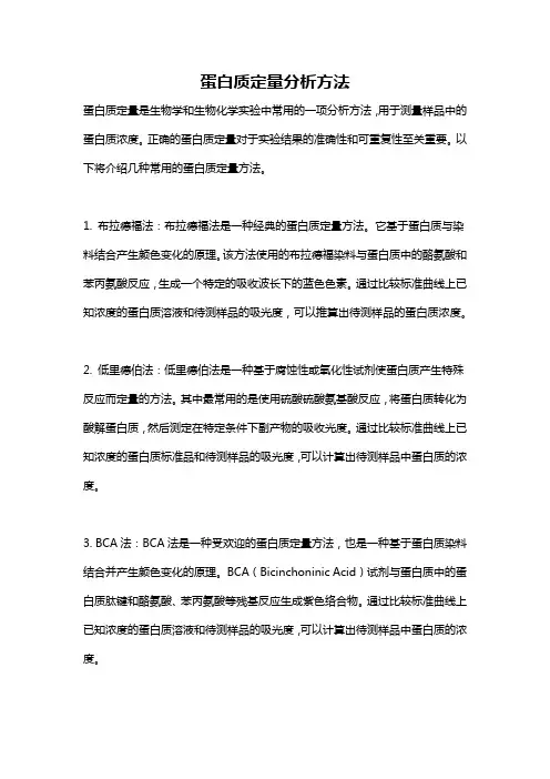 蛋白质定量分析方法