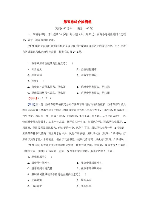 新教材2025版高中地理第5章地球上的植被与土壤综合检测卷湘教版必修第一册