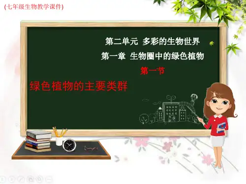 (新)济南版七年级上册生物第二单元第一章第一节绿色植物的主要类群(教学课件)