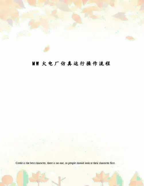 MW火电厂仿真运行操作流程
