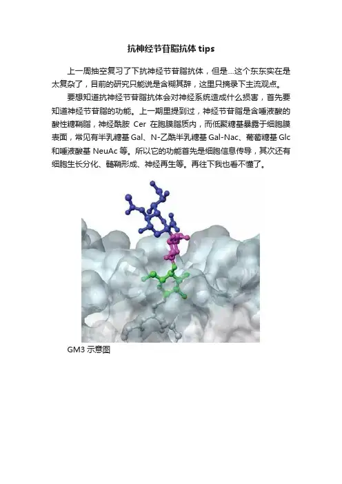 抗神经节苷脂抗体tips