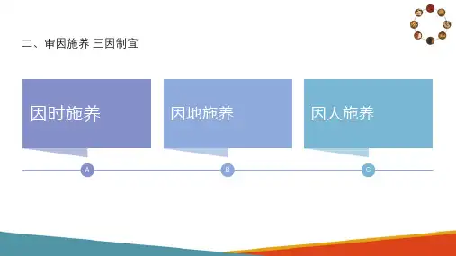 中医饮食养生基础理论 饮食养生基本原则 三因制宜 食疗药膳课件