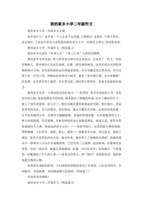 我的家乡小学二年级作文