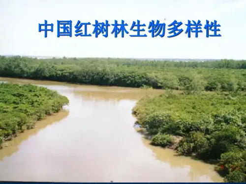 中国红树林生物多样性(rr)