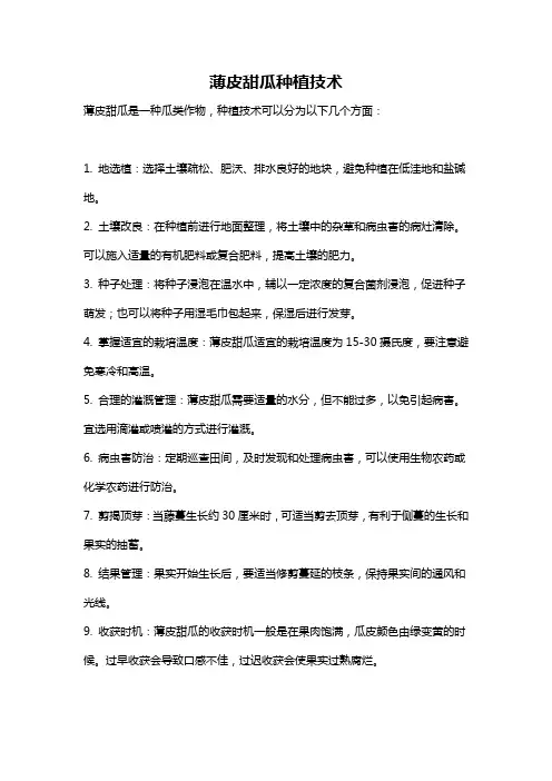 薄皮甜瓜种植技术