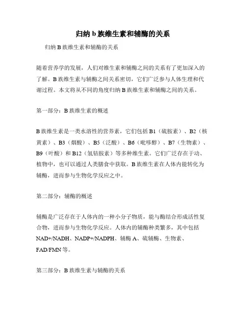 归纳b族维生素和辅酶的关系
