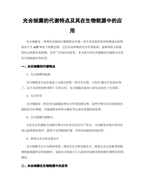 光合细菌的代谢特点及其在生物能源中的应用
