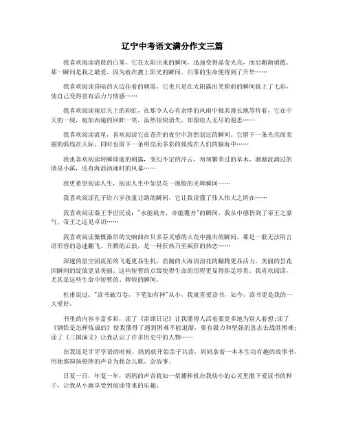 辽宁中考语文满分作文三篇