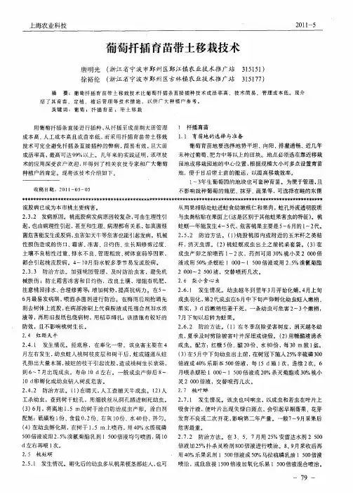 葡萄扦插育苗带土移栽技术
