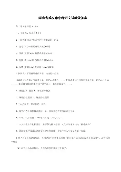 湖北省武汉市中考语文试卷及答案