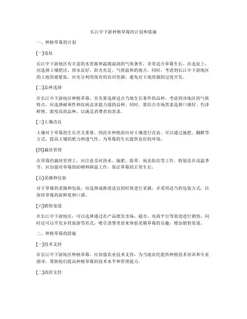 长江中下游种植草莓的计划和措施