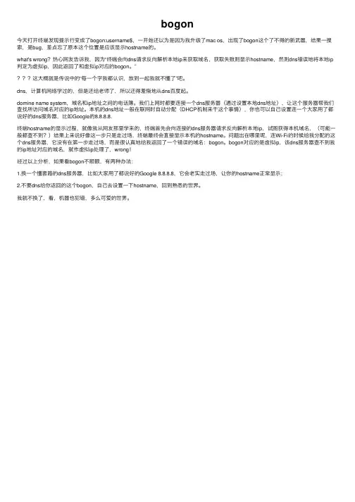 bogon——精选推荐