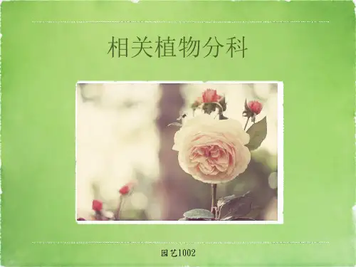 常见植物科特征及代表植物