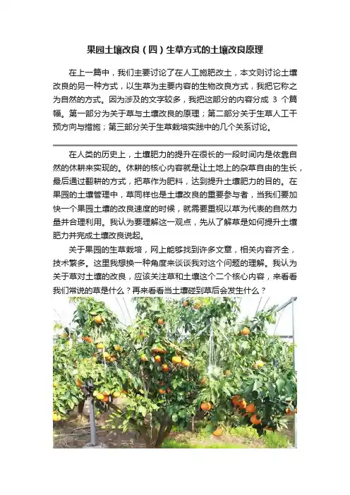 果园土壤改良（四）生草方式的土壤改良原理