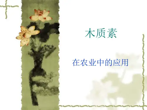 木质素