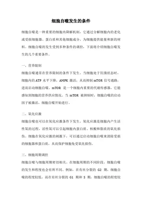 细胞自噬发生的条件