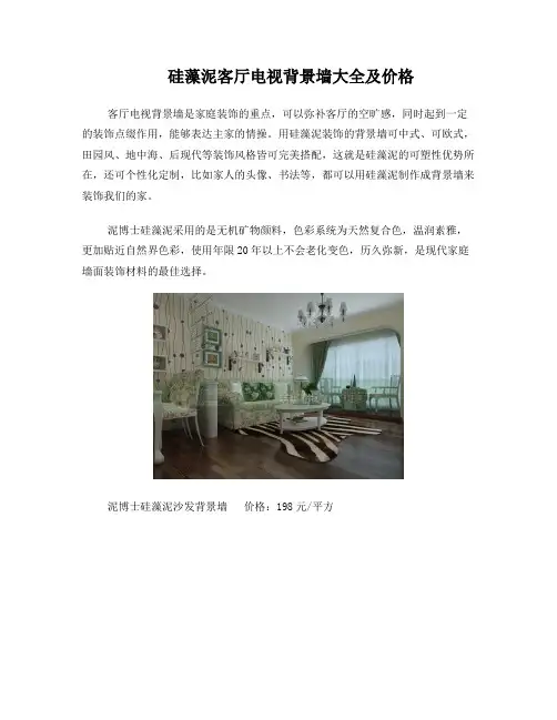 硅藻泥客厅电视背景墙大全及价格