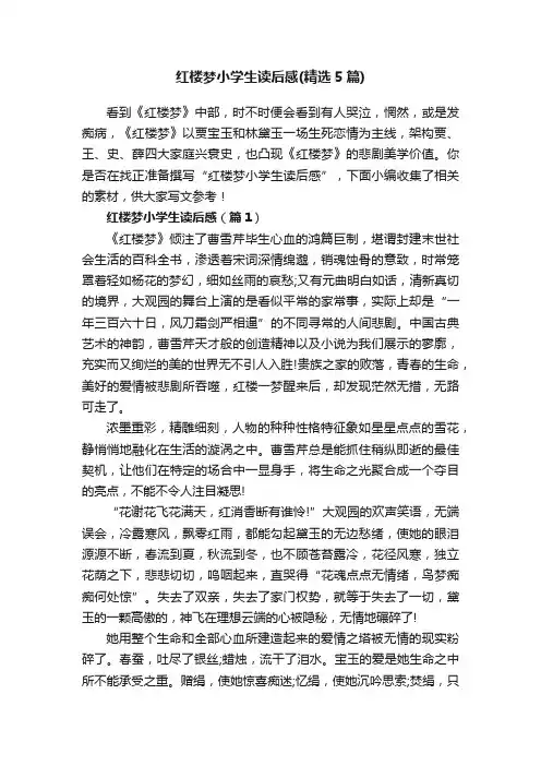 红楼梦小学生读后感（精选5篇）