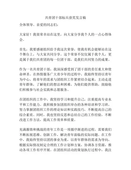共青团干部标兵获奖发言稿