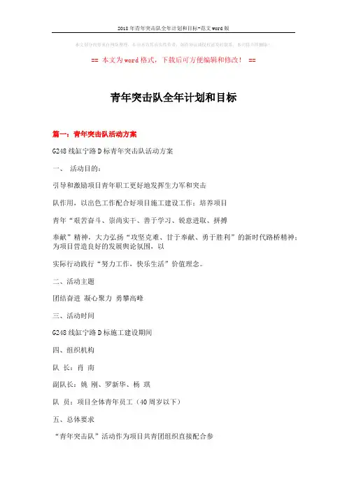 2018年青年突击队全年计划和目标-范文word版 (8页)