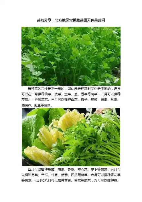 菜友分享：北方地区常见蔬菜露天种菜时间