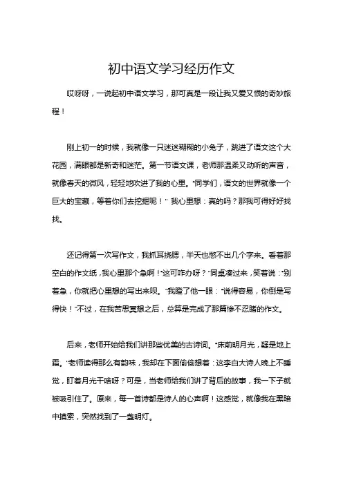 初中语文学习经历作文