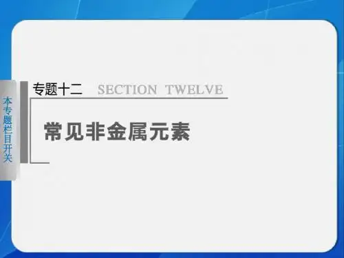 2014年高考化学苏教版《步步高》二轮专题复习常见非金属