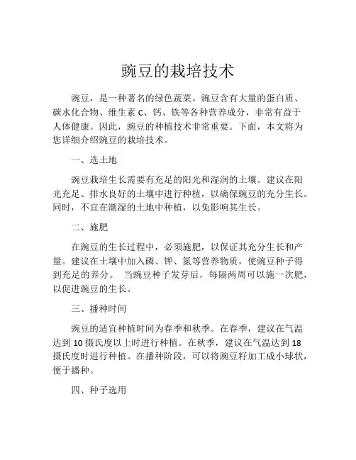 豌豆的栽培技术