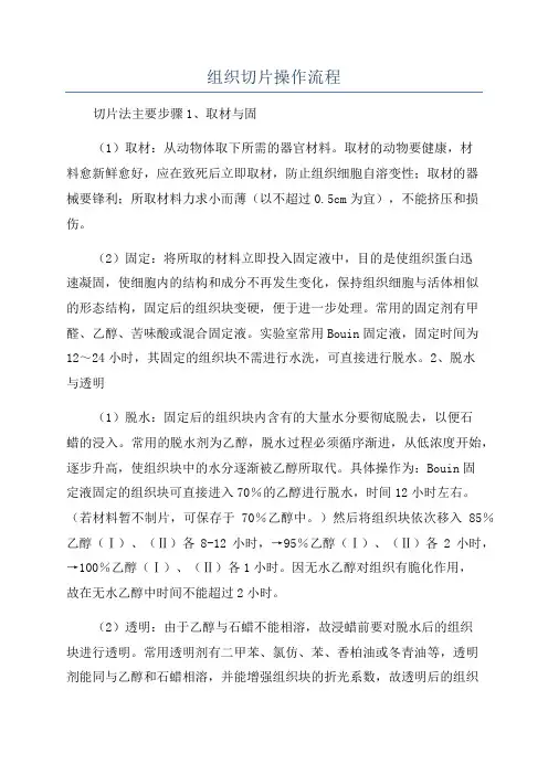 组织切片操作流程