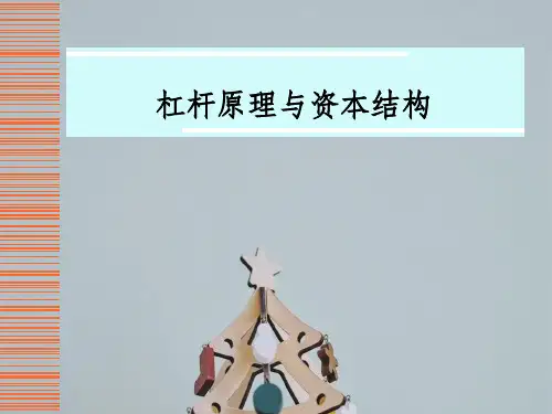 杠杆原理和资本结构