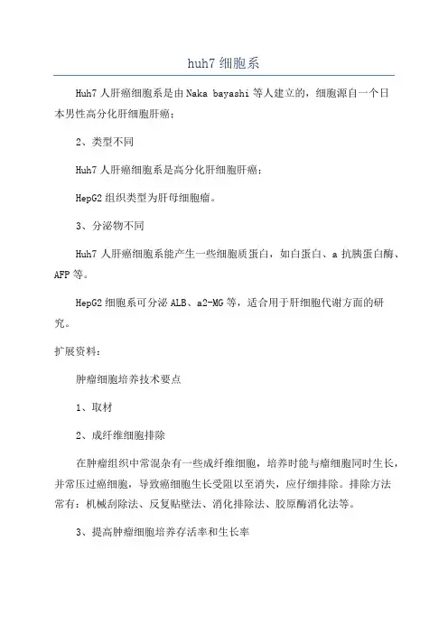 huh7细胞系