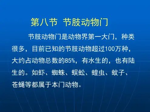 第八节节肢动物门课件