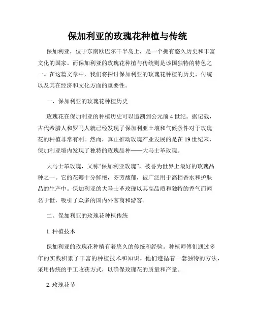 保加利亚的玫瑰花种植与传统