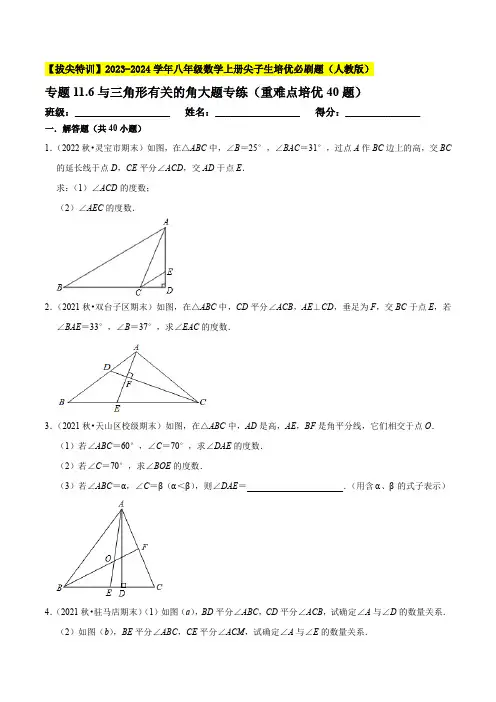 与三角形有关的角大题专练(重难点培优40题)-八年级数学上册尖子生培优必刷题(原卷版)【人教版】