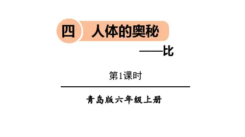 《人体的奥秘》数学教学PPT课件(3篇)