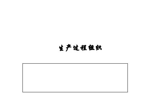 生产过程组织概论.pptx