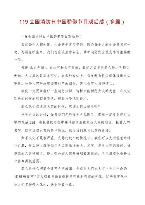 119全国消防日中国骄傲节目观后感(多篇)