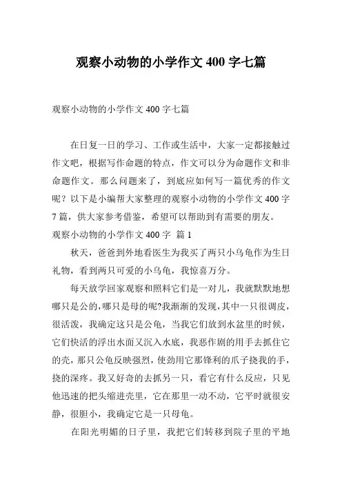 观察小动物的小学作文400字七篇