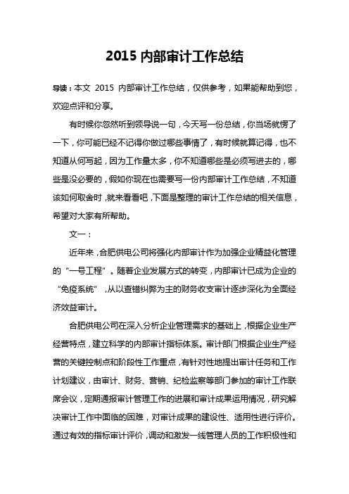 2015内部审计工作总结