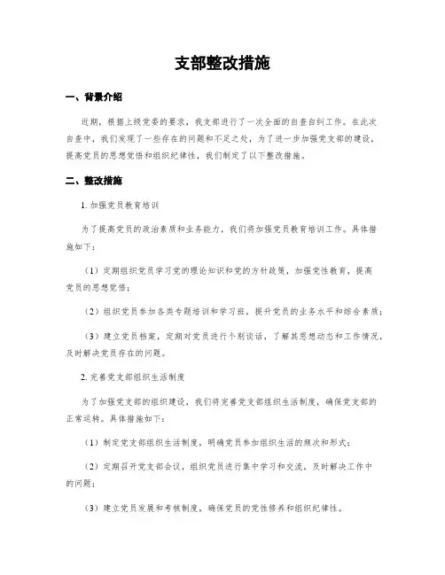 支部整改措施