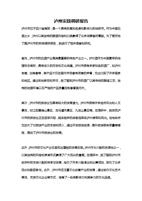 泸州实践调研报告