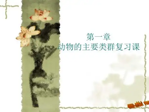 动物的主要类群复习课