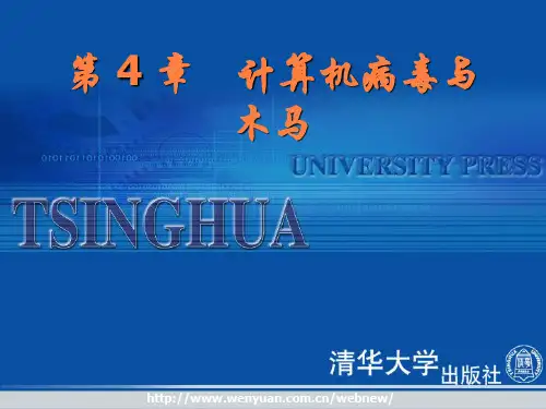 计算机病毒与木马PPT课件
