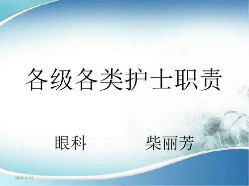 各级各类护士职责PPT