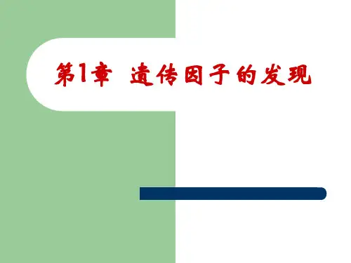 高一生物必修二课件：遗传因子的发现
