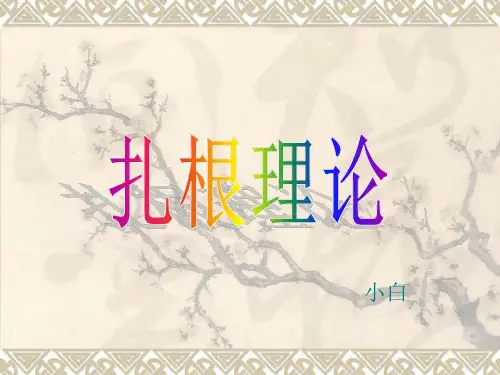 扎根理论