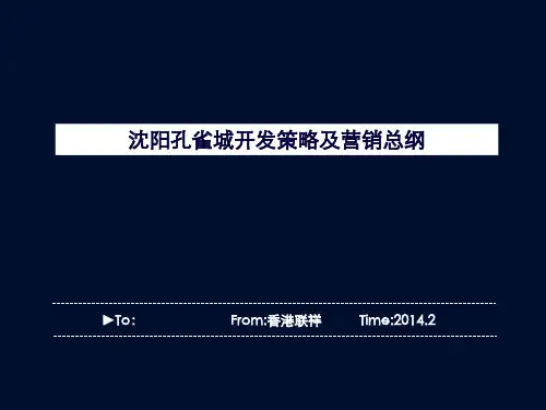 [XXXX0211]沈阳孔雀城营销总纲