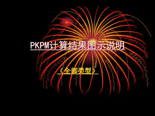 PKPM计算结果图示说明ppt课件